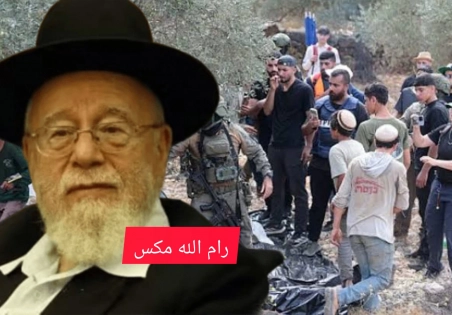 حاخام صهيوني يفتي بشرعنة سرقة الزيتون الفلسطيني