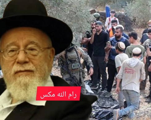 حاخام صهيوني يفتي بشرعنة سرقة الزيتون الفلسطيني