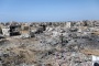 القوارض "تغزو" مواقع عسكرية إسرائيلية ومستوطنات محاذية لقطاع غزة