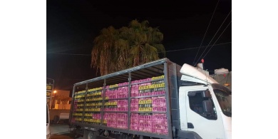 الضابطة الجمركية تضبط أكثر من 3000 طير دجاج لاحم بدون أوراق قانونية في جنين