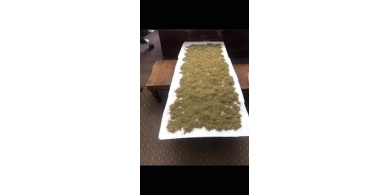 الأمن الوقائي يضبط كميات كبيرة من المواد المخدرة داخل منزل في بيت لحم