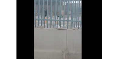 فيديو..إصابة شاب برصاص الاحتلال عند حاجز قلنديا