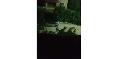 الإحتلال يعتقل 3 شبان من مدينة جنين ومخيمها