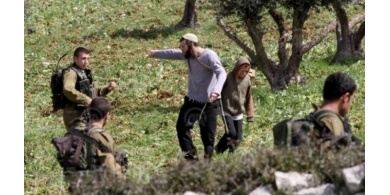 مستوطنون يزرعون أراضي فلسطينية للاستيلاء عليها