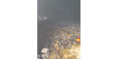 نفوق آلاف الدواجن إثر حريق داخل مزرعة في بلدة عجة جنوب جنين