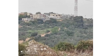 مستوطنون يكسرون أشجار زيتون ويعتدون على أراض بسلفيت
