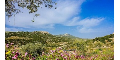 الطقس: الجو حار نسبي الى حار 05.07.2022