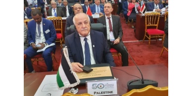 منصور: الشعب الفلسطيني يعيش أحد أخطر الفصول في تاريخه منذ النكبة