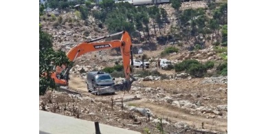 الاحتلال يصدر أمرين عسكريين بإزالة أشجار على مساحة 307 دونمات في جنين