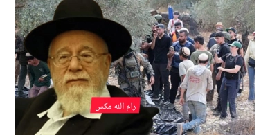 حاخام صهيوني يفتي بشرعنة سرقة الزيتون الفلسطيني