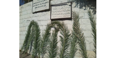 "نخيل القبور".. عادة دأب عليها النابلسيون مع صبيحة كل عيد