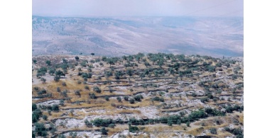 صاروخ اطلق من سوريا يسقط في أراضي الجولان المحتلة