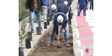 منظمة تطوع تحيي يوم الأرض