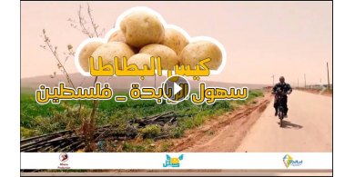 بالفيديو ..الحل لوجع ومشاكل الماضي..كيس بطاطا