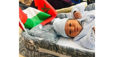 غسان بين الوطن والمنفى