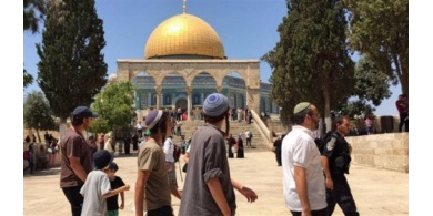 444 مستوطناً اقتحموا الأقصى خلال الأسبوع الماضي
