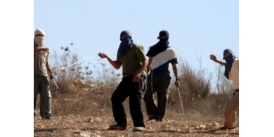 إصابة مواطن في اعتداء للمستوطنين جنوب الخليل