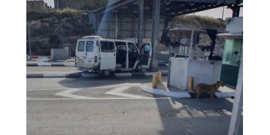 استشهاد شاب فلسطيني برصاص الاحتلال على حاجز "الكونتينر"