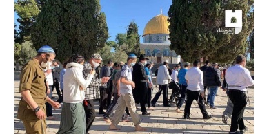 اعتقالات وإبعادات- 233 مستوطنا يستبيحون ساحات الأقصى