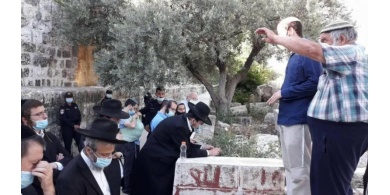 104 مستوطنين يقتحمون باحات المسجد الأقصى