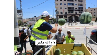 جنين: حملة لدعم بطيخ الأغوار الفلسطينية