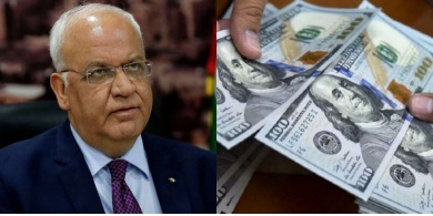 عريقات: طلبنا قرضًا شهريًا بـ 100 مليون دولار من العرب ﻿