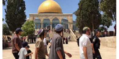 156 مستوطنا يقتحمون "الأقصى" وينفذون جولات استفزازية