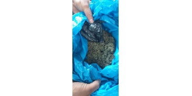 جنين: الشرطة تقبض على تاجر مخدرات وبحوزته مواد مخدرة قرب جدار الفصل العنصري