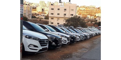 خلال 3 شهور.. مبيعات ألف معرض للسيارات 1700 مركبة فقط