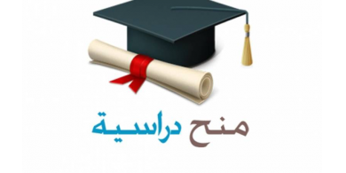 "التعليم العالي" تعلن عن منح دراسية في الجزائر