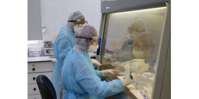 قطاع غزة يُسجل 110 إصابات جديدة بفيروس (كورونا) من داخل المجتمع