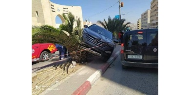 نابلس: وفاة طالبة بحادث دهس قرب جامعة النجاح