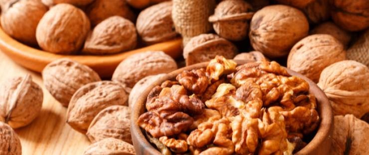 الجوز.. المفتاح لحياة أطول