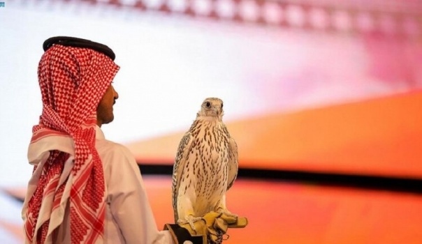  بيع صقرين بنحو 38 ألف دولار في مزاد دولي بالرياض 