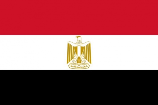 "التعليم العالي": تمديد التقديم لمنح مصر