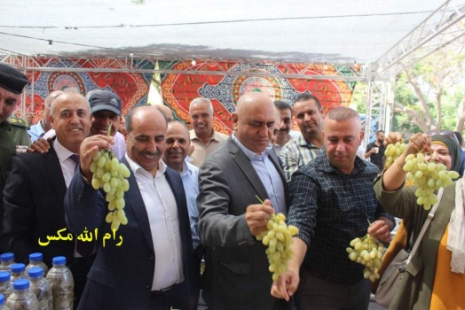 انطلاق مهرجان تسويق العنب في جنين