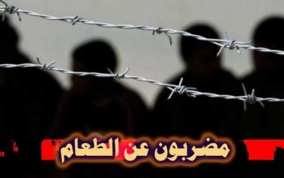 هيئة الأسرى: 1380 أسير سيشرعون بإضراب عن الطعام الجمعة المقبلة.. وهذه مطالب الحركة الأسيرة