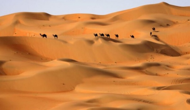 علماء يكشفون سر تماثيل الجمال العملاقة في شمال الجزيرة العربية 