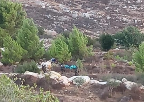 إعلام الاحتلال يتحدث عن استشهاد أربعة مواطنين بتبادل لإطلاق النار بالضفة الغربية