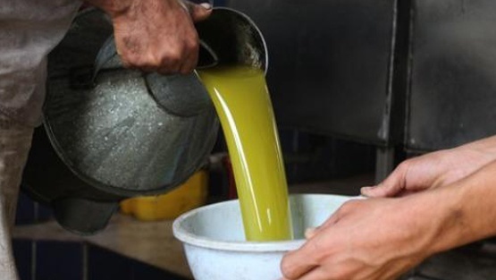 المفتي العام يدعو المزارعين لإخراج زكاة الزيت والزيتون