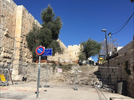 محافظة القدس: ما جرى في مقبرة اليوسفية جريمة حرب بشعة