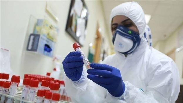 10 وفيات و270 إصابة جديدة بكورونا في فلسطين