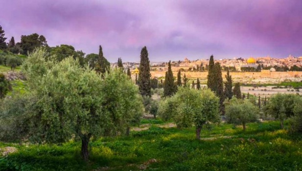 تسوية أراضي القدس مشروع استعماري خبيث ظاهره مدني عصري