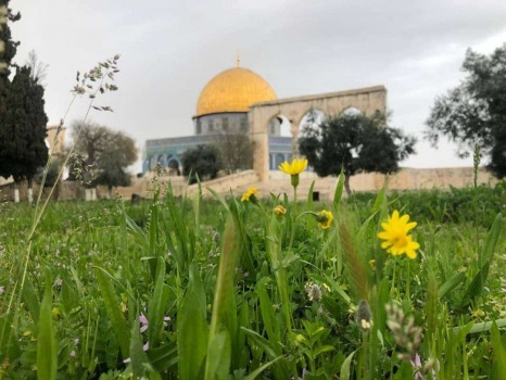 منخفض جوي ماطر يوم الأربعاء