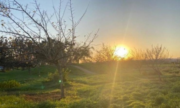 حالة الطقس: أجواء صافية ومعتدلة