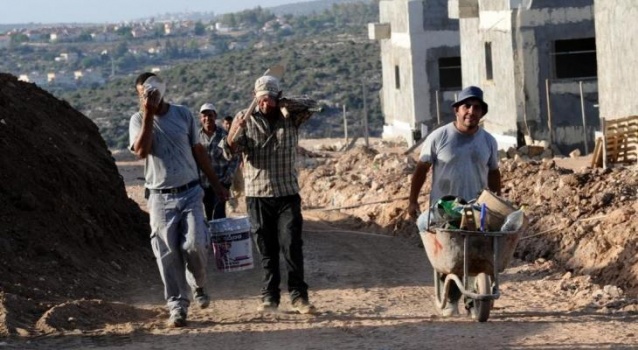 الاحتلال يلاحق العمال الفلسطينيين قرب قلقيلية