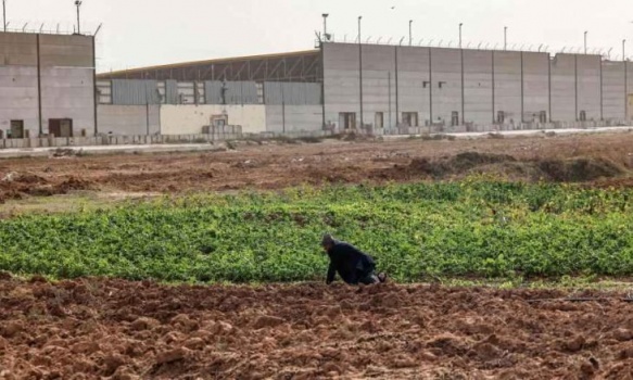 اتحاد عمال غزة: قوات الاحتلال ارتكبت جرائم بحق المزارعين خلال 2021