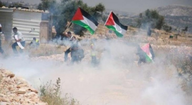 إصابات بمواجهات مع الاحتلال في "كفر قدوم"