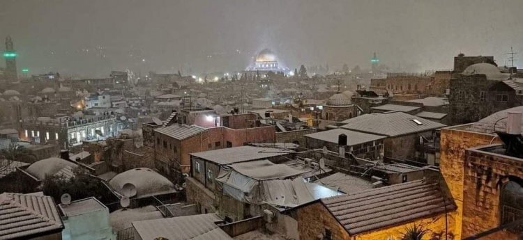 الزائر الأبيض ضيفا على فلسطين بعد انتظار 