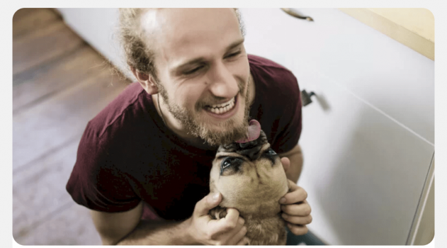 دراسة تكشف عن خطر "قاتل" قد يسببه لعق كلبك لوجهك!